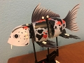 Jess_InnovateFish_6-2020 (3)